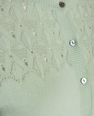 ESSENTIAL COTTON MELANGE